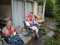IMG_5333.jpg